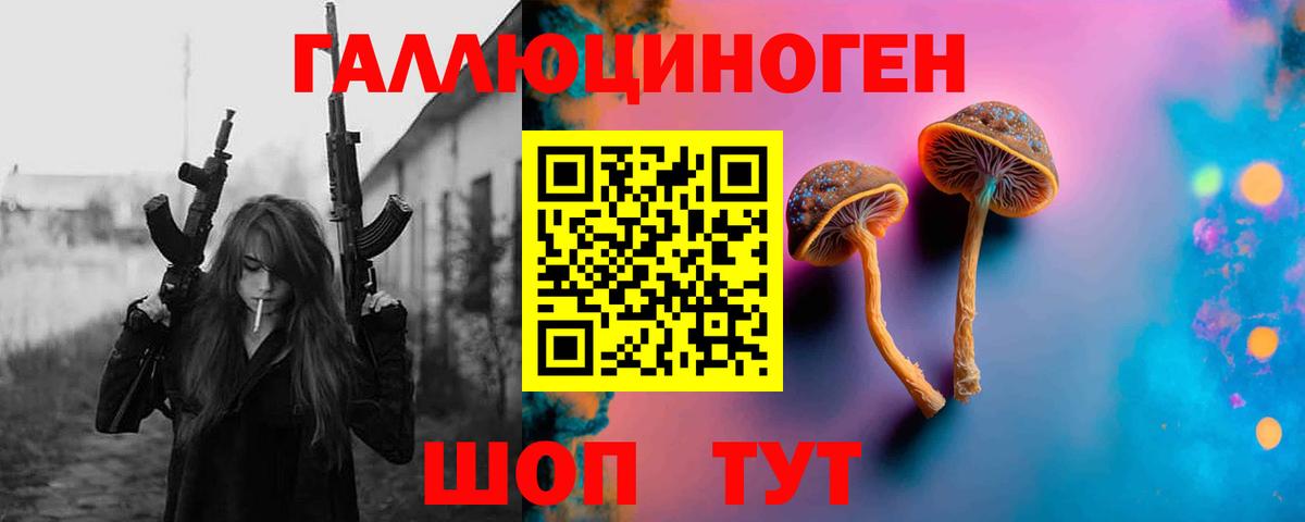 Галлюциногенные грибы Psilocybine cubensis  Вход с VPN  Ступино 